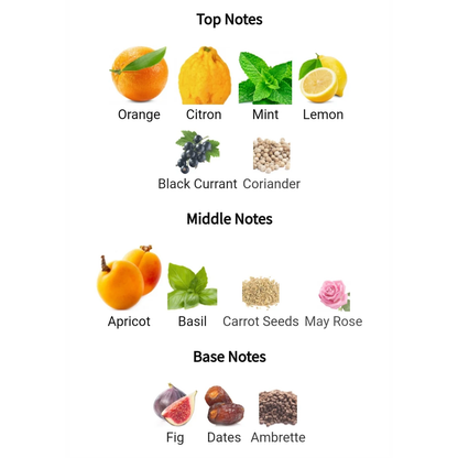 ScentHub Pacific- 100ml